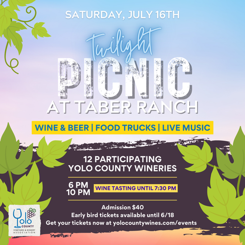 Berryessa Gap Vineyards Event Yolo County Wines Twilight Picnic